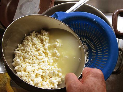 Sharp provolone cheese recipes whacking webzine bildergallerie