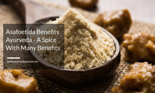 Asafoetida Benefits Ayurveda A Spice With Many Benefits Ayurvedic