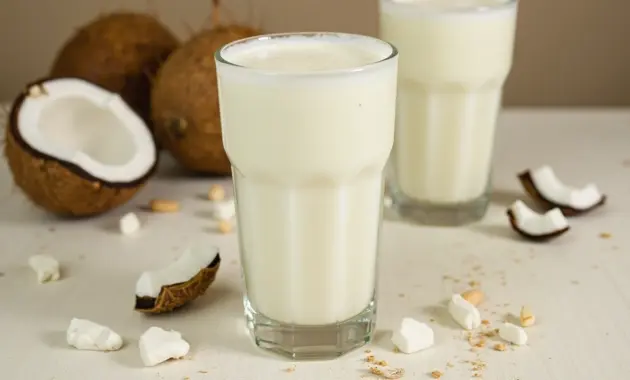 Easy Coconut Milk Drink Recipes