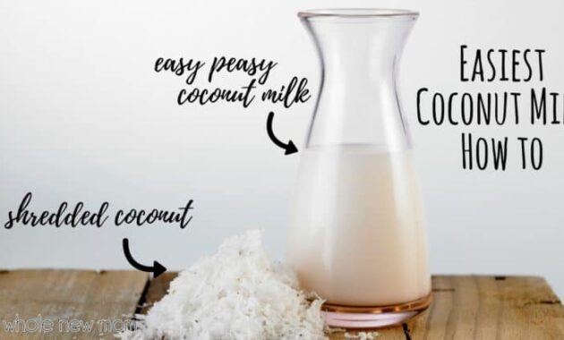 Homemade Coconut Milk Recipe Whole New Mom
