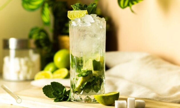 Virgin-Mojito-02-1024x683-1