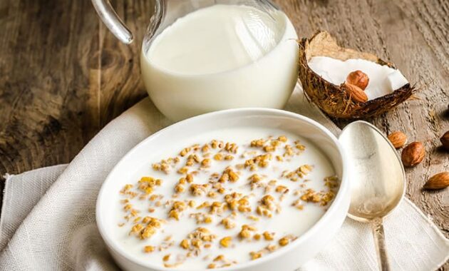 Silky Almond Coconut Milk Recipe