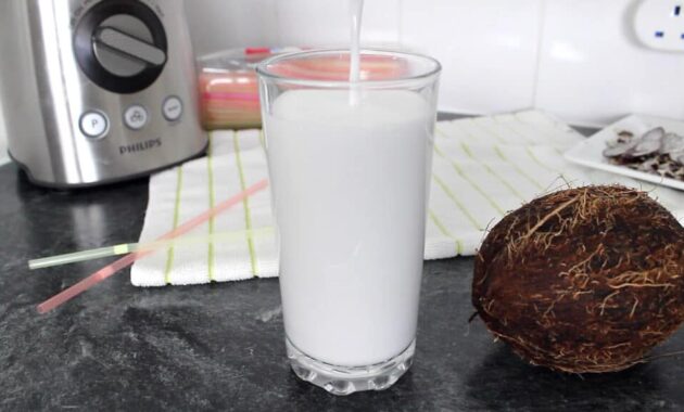 Coconut Milk Recipe Yummieliciouz