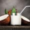 Creamy Dream: Mastering the Art of Homemade Coconut Milk