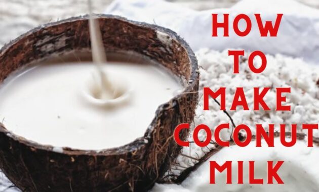 How To Make Coconut Milk Coconut Milk Recipe YouTube