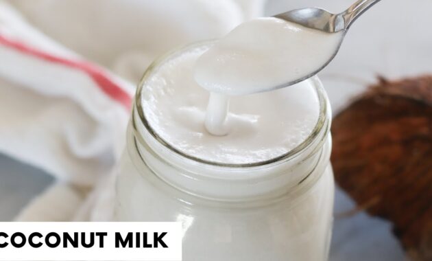 Coconut Milk Recipe Serious Eats at Jackie Proctor blog