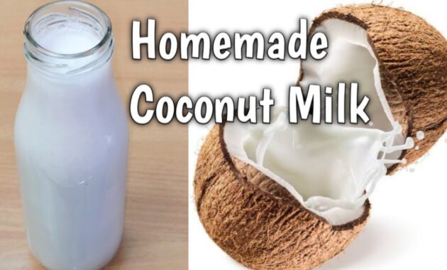 How to make Fresh Coconut Milk at Home Homemade Coconut Milk Recipe