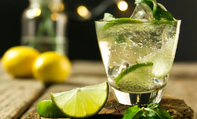 Mojito Cocktail Recipe Warwickshire Gin
