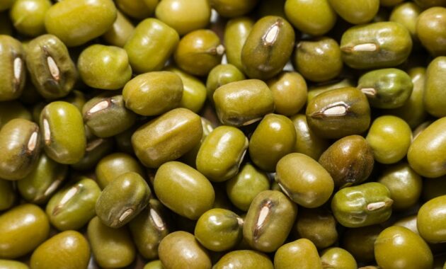18+ Easy Mung Bean Recipes That Will Delight Your Taste Buds and