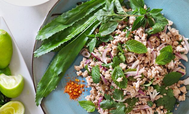 Thai Larb Salad (Larb Moo) Asian Inspirations