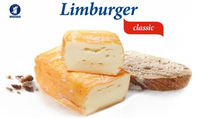 Limburger Cheese Spread Recipe Dandk Organizer