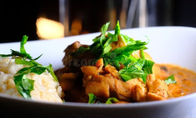 hungarian-chicken-paprikash-brown-rice-parsley-garnish-238197032