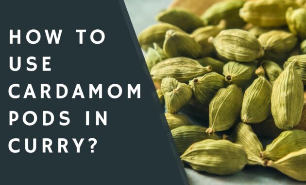 How To Use Cardamom Pods In Curry? CondimentBucket