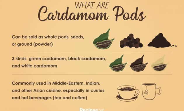 Cardamom Pods What Are They and How to Use Them