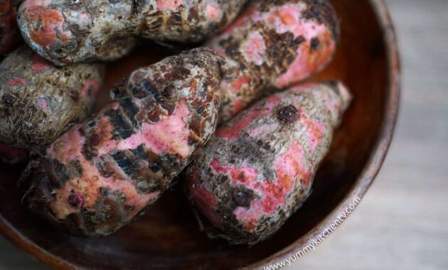 Gabi (Taro) root vegetable A short Introduction Yummy Kitchen