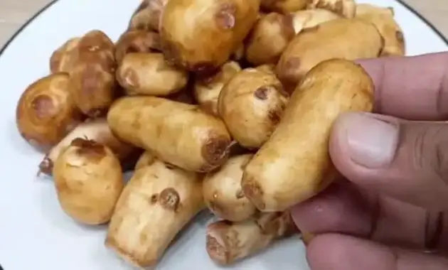 Taro Root Recipe How to Cook Taro Root Right Food Taste